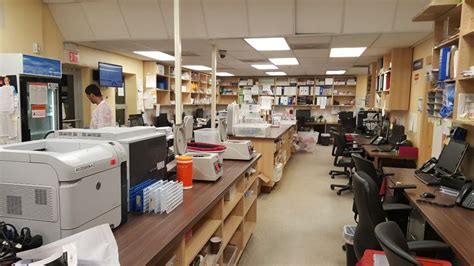 Accu reference medical lab linden - Accu Reference Medical Lab, Linden NJ May 2012 - Present 11 years 7 months. ACCU REFERENCE MEDICAL LAB, 2014 – PRESENT BILLING TEAM LEADER Review denials, policies and contracts. ...